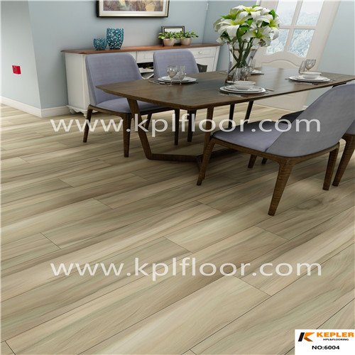 6004 Dry Back Virgin Material Waterproof PVC Flooring