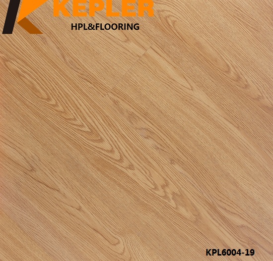 Vinyl Flooring Manufacturer 2MM Dry Back 6004-19